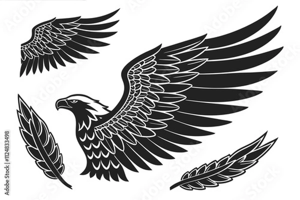 Obraz eagle with wings