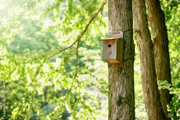 Fototapeta 鳥の巣箱