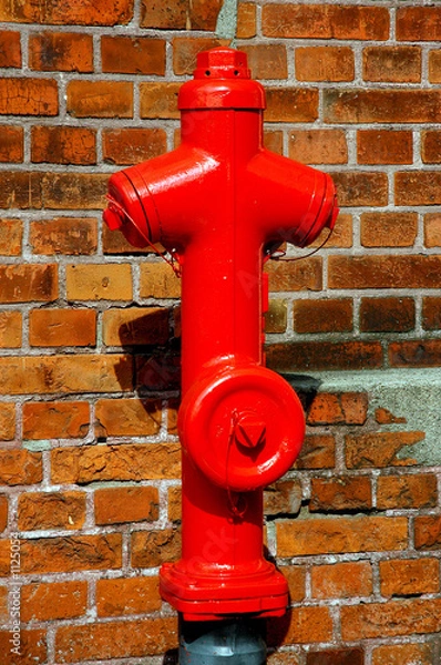 Fototapeta hydrant