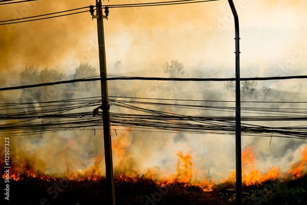 Fototapeta wildfire at side of road sihouette.