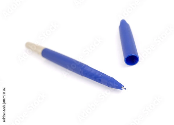 Fototapeta Blue pen