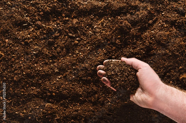 Obraz Soil texture background seen from above, top view.