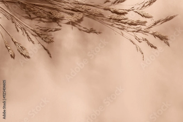 Obraz Beige background with dried plants