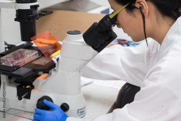 Obraz Scientist using microscope to check cell culture