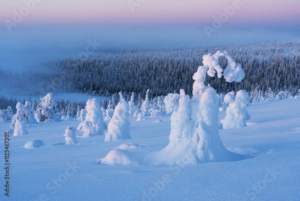 Fototapeta A winter scenery with snowy trees and mist in the distance during a cold evening in Riisitunturi National Park, Northern Finland
