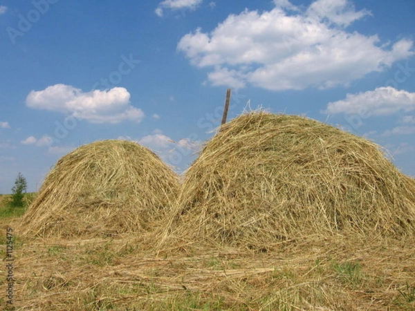 Obraz haystacks
