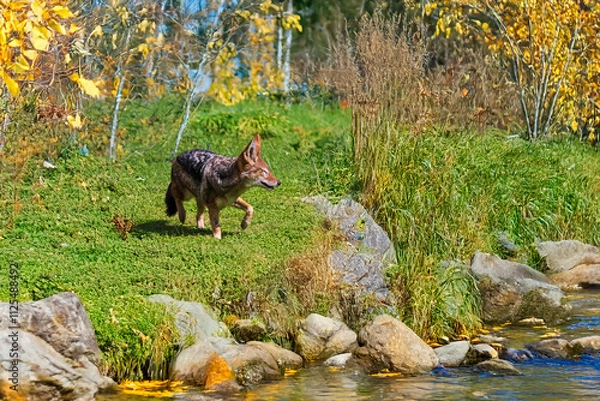 Fototapeta Generated image