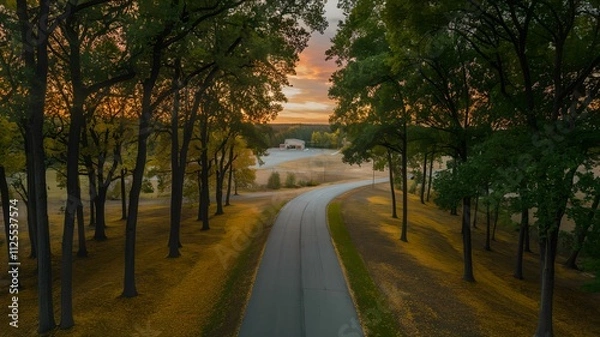 Fototapeta Horizontal top view image of a road in the forest at sunset. For LinkedIn, profile in social media, blog, summer vacation, road trip, banner, design