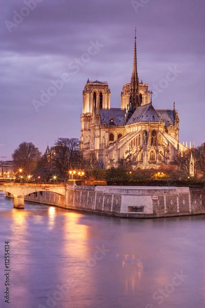 Obraz Notre Dame, Paris.