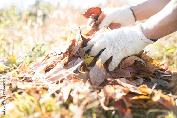 Obraz 庭で落ち葉を集める

