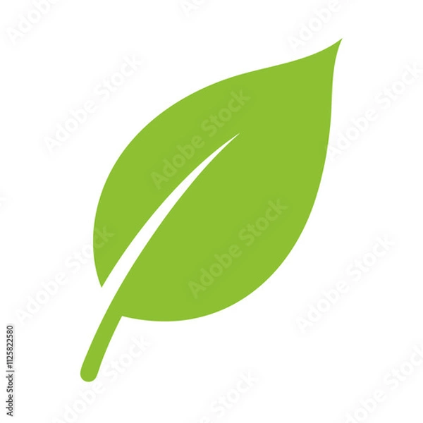 Obraz green leaf isolated on white