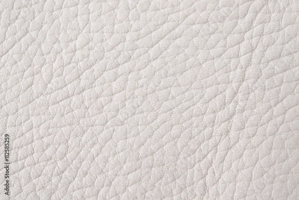 Fototapeta 白い牛革のアップ