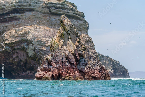 Obraz Island View of Paracas, Peru
