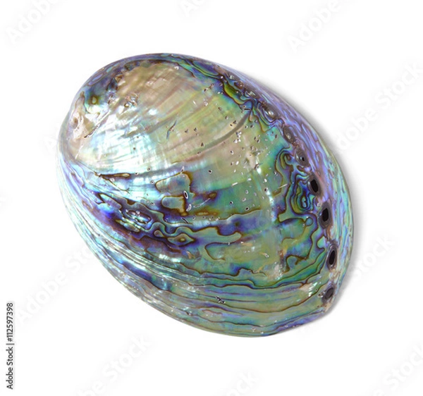 Fototapeta A shiny mother of pearl sea shell, isolated on a white background