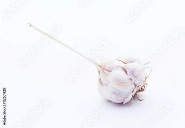 Obraz Garlic isolated on white background