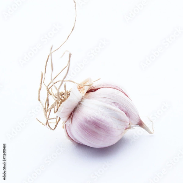 Obraz Garlic isolated on white background