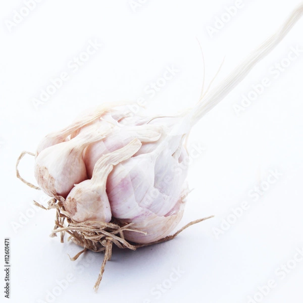 Obraz Garlic isolated on white background