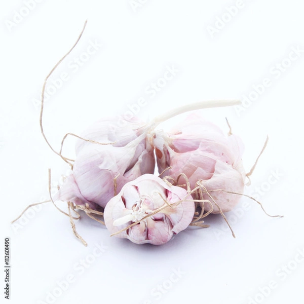Obraz Garlic isolated on white background