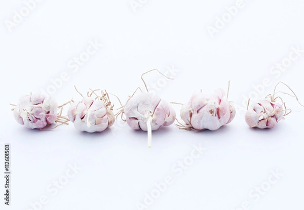 Obraz Garlic isolated on white background
