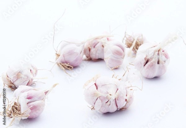 Obraz Garlic isolated on white background