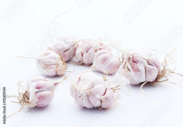 Obraz Garlic isolated on white background