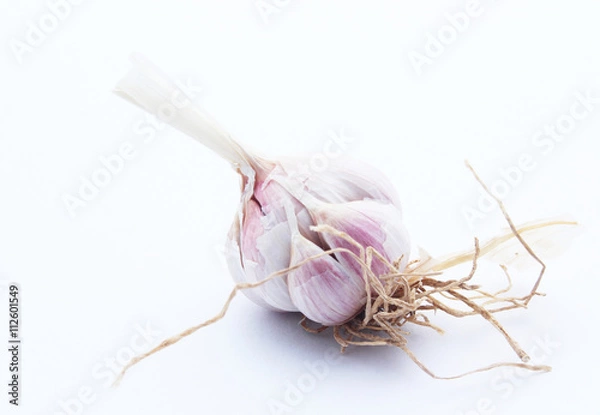 Obraz Garlic isolated on white background