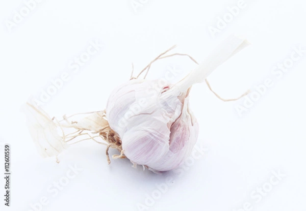 Obraz Garlic isolated on white background