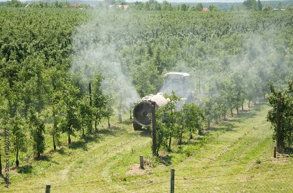 Obraz spraying apple orchard in spring