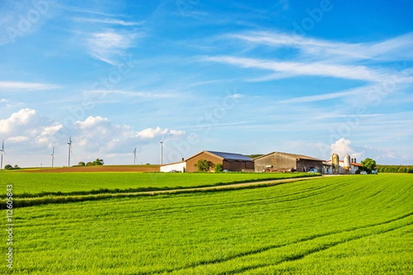 Obraz Farm surrounded by meadow / field