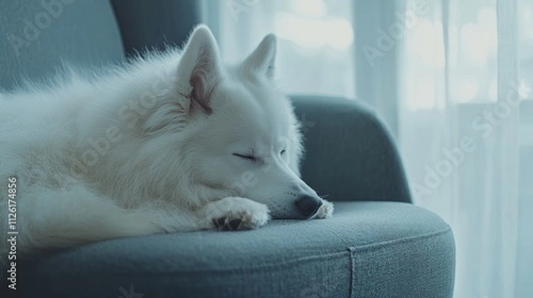 Fototapeta A serene white dog sleeping peacefully on a couch by a window.