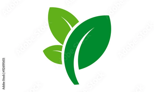 Obraz green leaf vector logo
