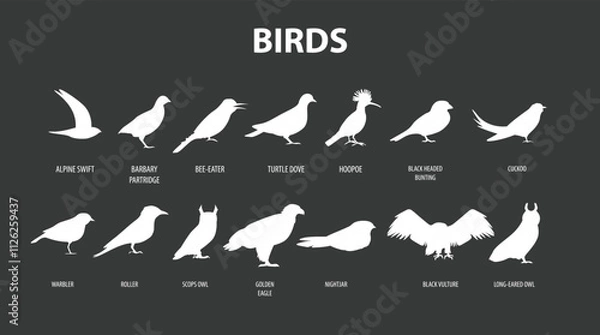 Fototapeta Birds Vector icons set