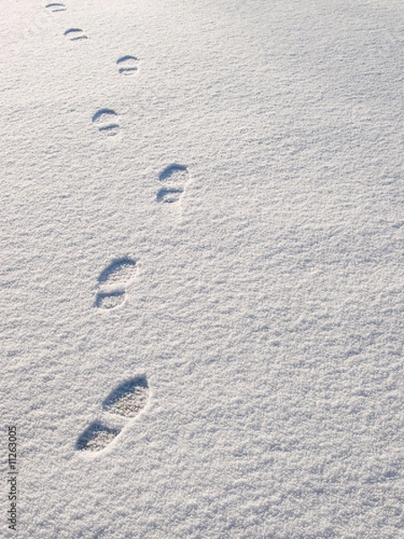 Fototapeta Snowsteps