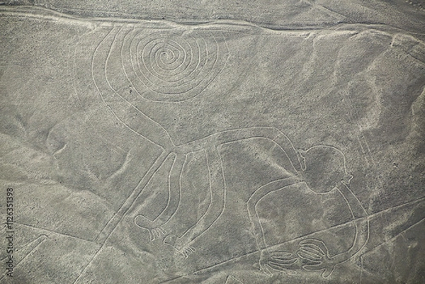Fototapeta Aerial view of Nazca Lines - Monkey geoglyph, Peru.
