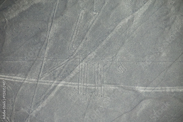 Fototapeta Aerial view of Nazca Lines - Dog geoglyph, Peru.