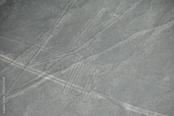 Fototapeta Aerial view of Nazca Lines - Dog geoglyph, Peru.