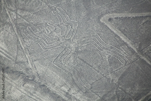 Fototapeta Aerial view of Nazca Lines - Spider geoglyph, Peru.