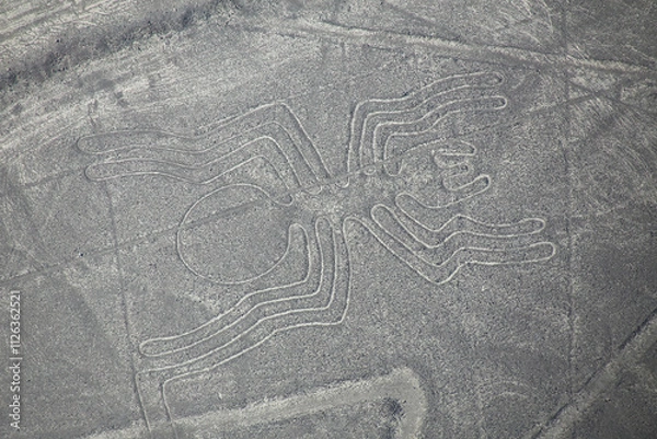 Fototapeta Aerial view of Nazca Lines - Spider geoglyph, Peru.