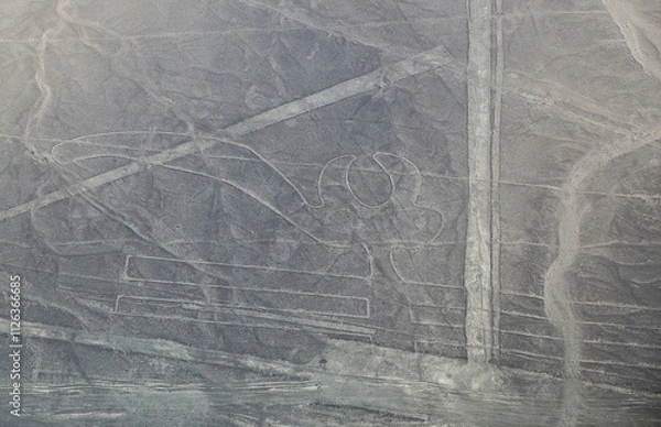 Fototapeta Aerial view of Nazca Lines - Parrot geoglyph, Peru.