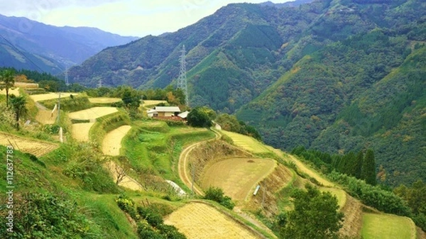 Obraz 宮崎県椎葉村の棚田