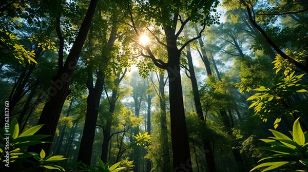 Fototapeta Sunlit Forest in Surreal Style with Tall Trees and Greenery