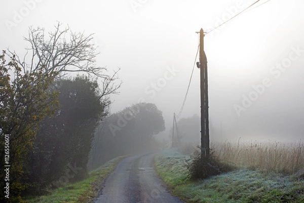 Fototapeta Route de campagne bordée de poteaux téléphoniques dans le brouillard d'une matinée froide et humide d'hiver.
