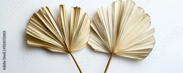 Fototapeta Dry palm leaves