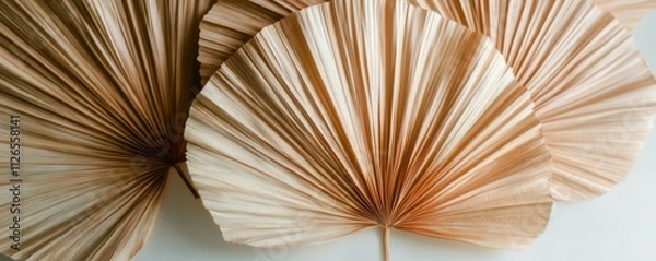 Fototapeta Dry palm leaves