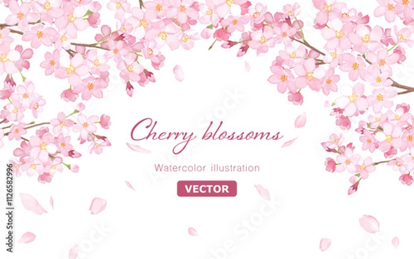 Obraz 桜と散る花びらのアーチ型フレーム。水彩イラスト（ベクター。レイアウト変更可能）