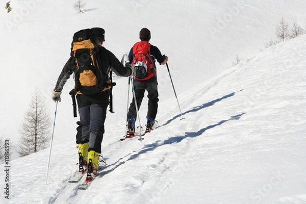 Obraz Ski de randonnée