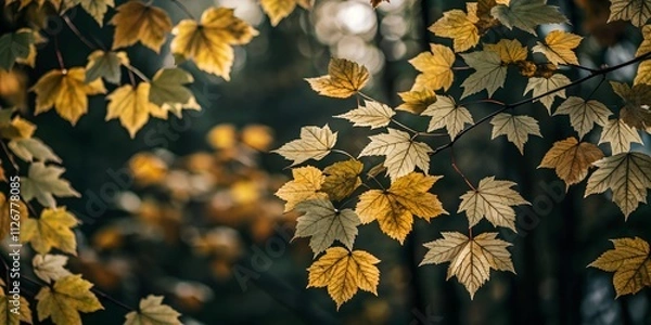 Fototapeta Vibrant Abstract Autumn Background with Yellow Leaves