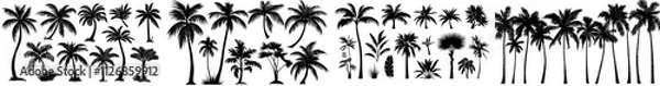 Fototapeta Collection of black palm tree silhouettes. Exotic tropical plant icons. Contemporary monochrome illustrations on a clear background.