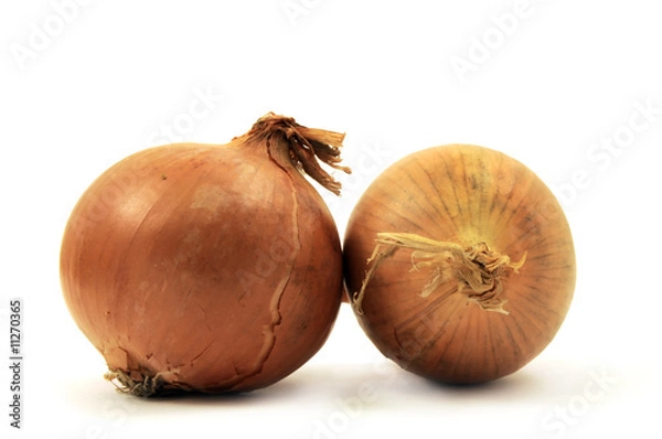 Obraz Cipolle gialle