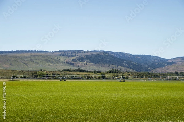 Obraz Irrigation system on green corn farmer field 